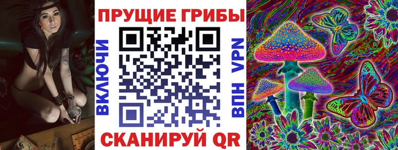 Галлюциногенные грибы Psilocybine cubensis  цена   Комсомольск 